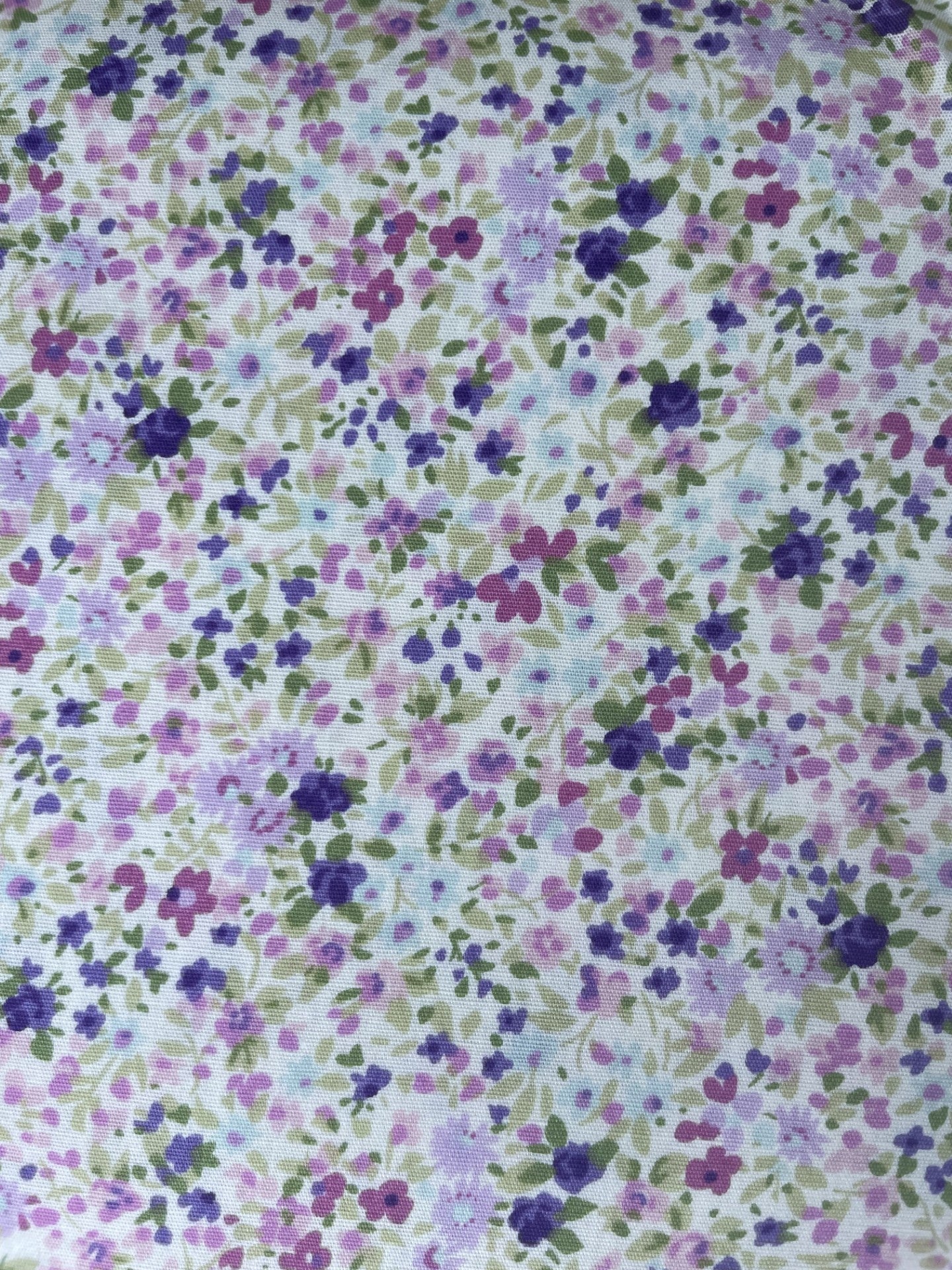 Fern Textiles Japanese Import quilting fabric SKU 6116 D1-4