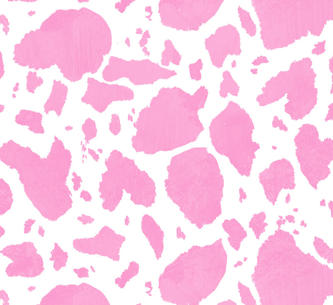 4376-22 Pink Saddle Up to the Disco