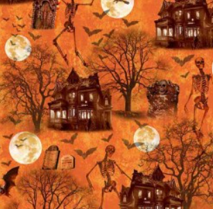 Michael Miller - Nightmare at Halloween - Spooky Haunted House - DDC12735-ORAN-D
