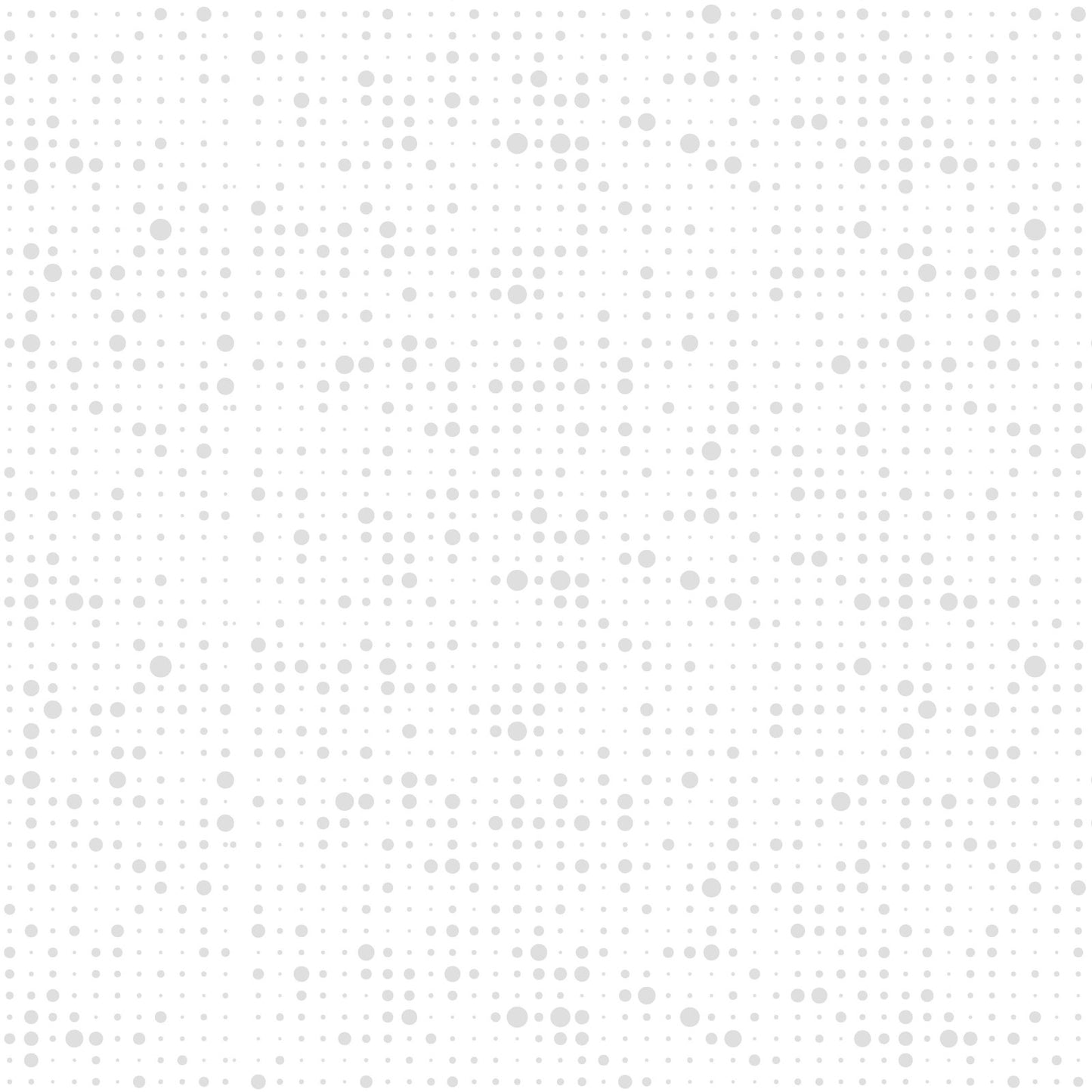 Blank Morning Mist IX 4336-01W White on White quilting fabric