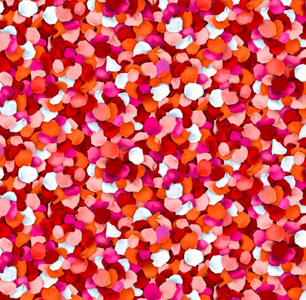 Blank La Vie En Rose 4212-82 Rose cotton quilting fabric