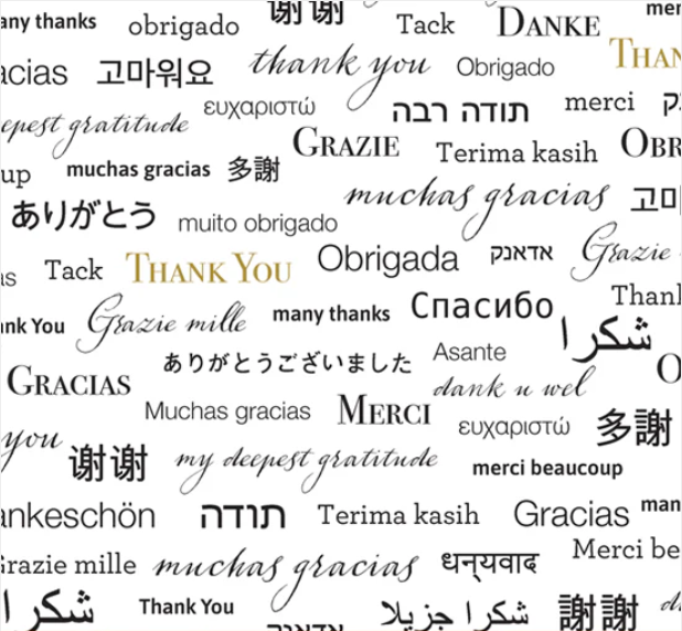 White Thank You quilt back wide backing fabric cotton