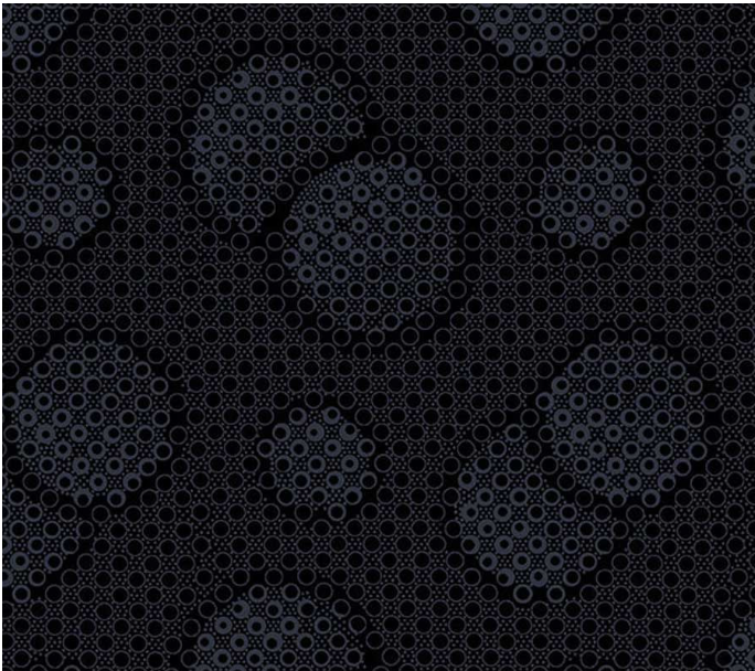 Dark Shadows Black Studio e quilting fabric