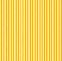 Home For All Seasons - Stripe - S