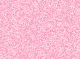 Color Blends 23528 - PZ