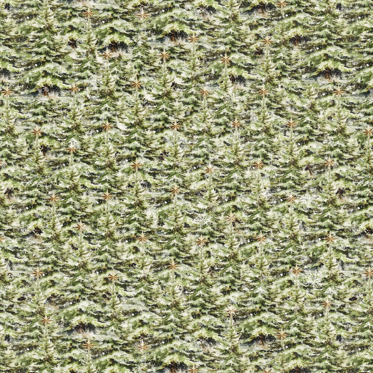 Blank - Christmas Magic - 2026-66 Green