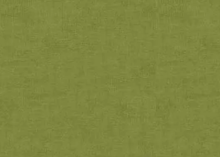 Blank Quilting Melange Basics 4509-804 olive tone-on-tone blender cotton