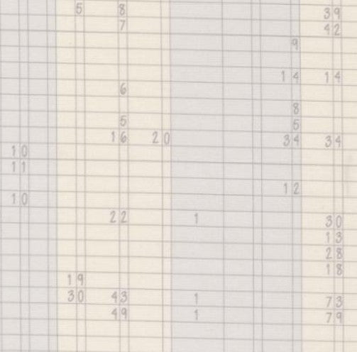 Moda - High Flight Smoke 45063 21