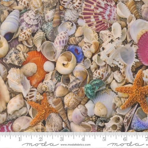 Moda - Saltwater - Cathe Holden - Shell 39570 11
