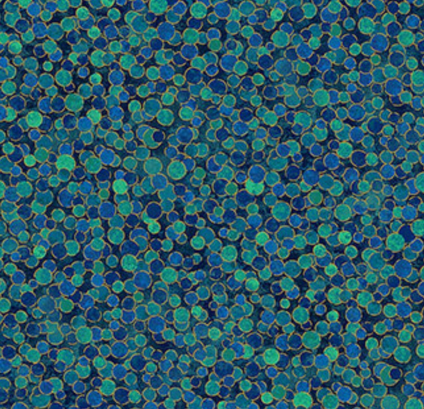 Northcott Shimmer Basics Lagoon 27895M-66 quilting cotton