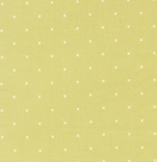 Moda In The Garden Light Lime 29238-21 Corey Yoder quilting cotton fabric