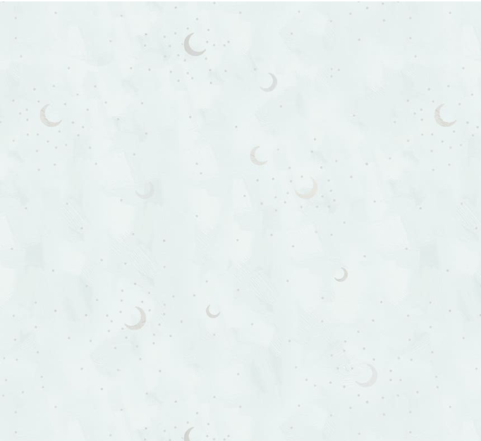 StudioE - 8664-17 Ice || Sweet Child of Mine Fabric