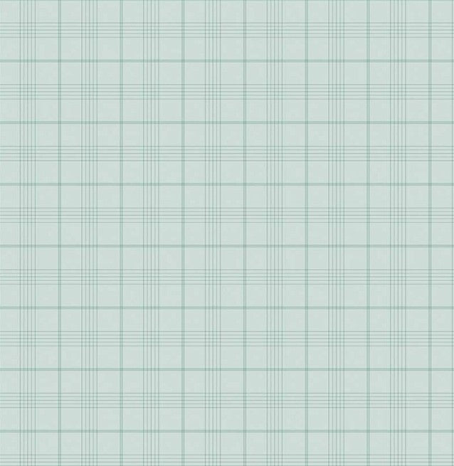 Riley Blake Peter Rabbit Friends Plaid Blue fabric