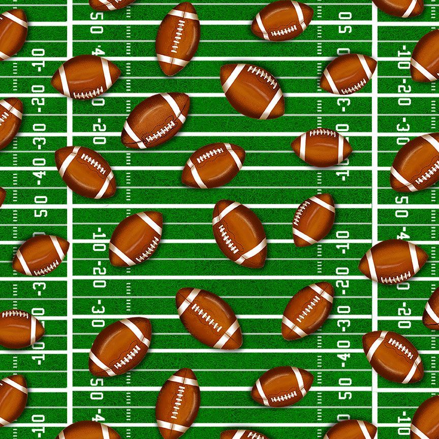 FOOTBALL BALLS ON GROUND TIMELESS TREASURES FABRIC