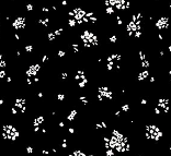 FIGO Ink and Earth black ditsy 91224-99 quilting cotton fabric