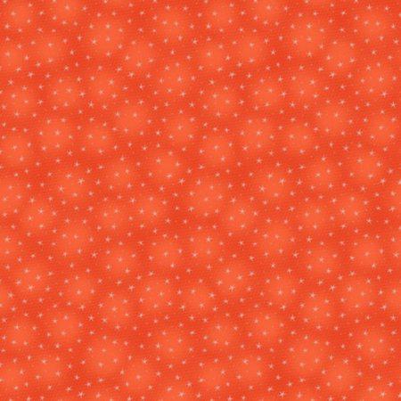 Blank Starlet Texture Papaya quilting fabric
