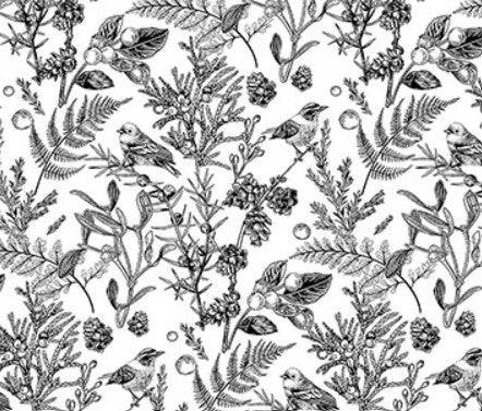 Northcott Nature's Sketchbook Meadowlark 28526-10 quilting cotton fabric