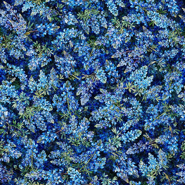 All Texas Shop Hop 2026 Bluebonnet Navy 31795 N quilting cotton