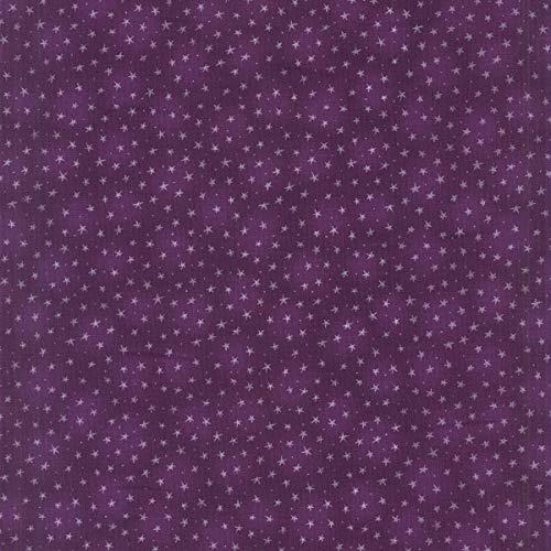 Blank Starlet Texture Purple quilting fabric