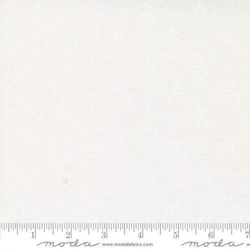 Coriander Seeds 29145