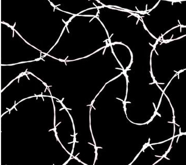 Saddle Up to the Disco 4371-99 Black cotton quilting fabric