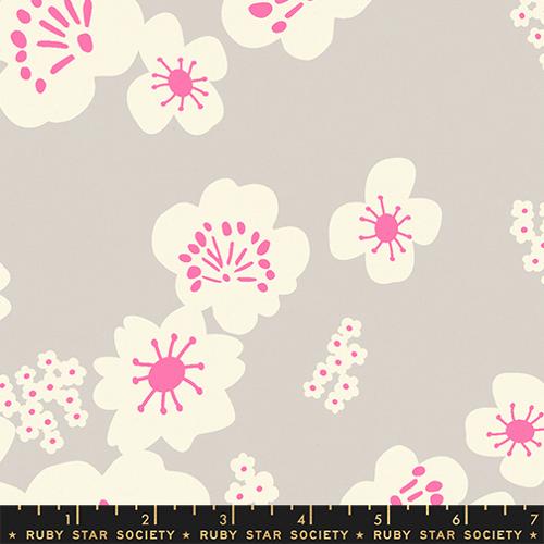 Ruby Star Paper Cuts 2 Sandbox canvas