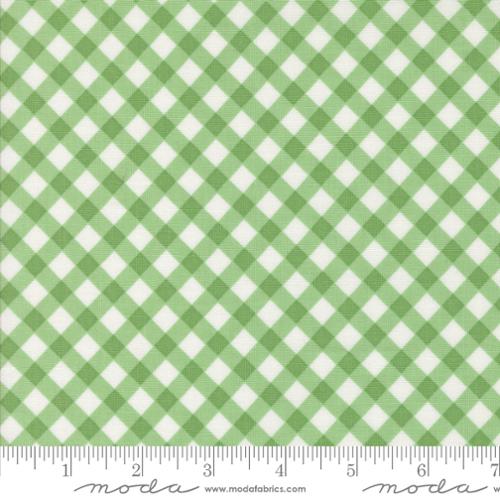 Green and white checkered fabric pattern with a ruler at the bottom