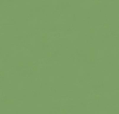 Solid green color swatch