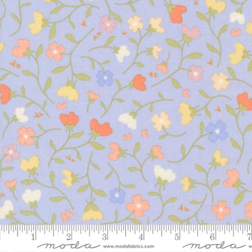 Floral fabric pattern with a ruler for scale on a blue background