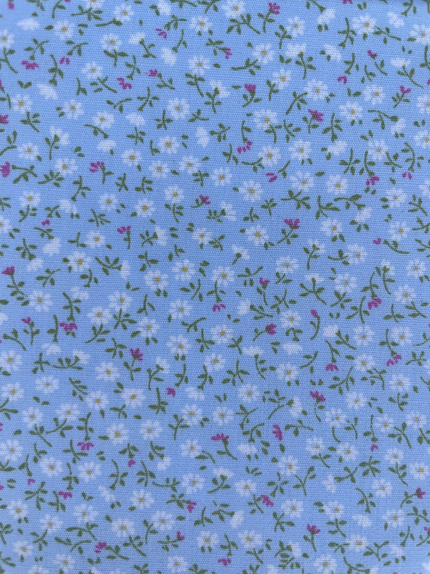 Fern Textiles Japanese Import quilting fabric SKU 6112 D4-5