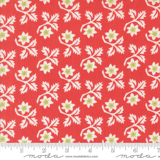 Moda Buon Natale Poinsettia quilting cotton fabric with red and green holiday accents.