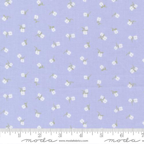 Floral pattern on a light blue background with a ruler at the bottom