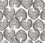 FIGO Ink and Earth black leafy 91225-99 quilting cotton fabric