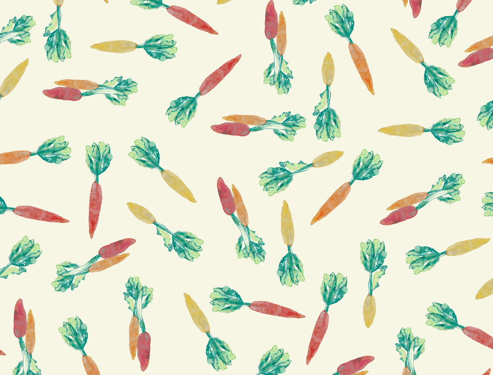 Lewis and Irene Vegetable Patch Carrots orange colorway by Bluebellgray