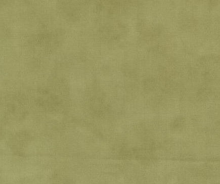 Moda - Family Tree - Deb Strain - Leaf 56127 53 Fabric