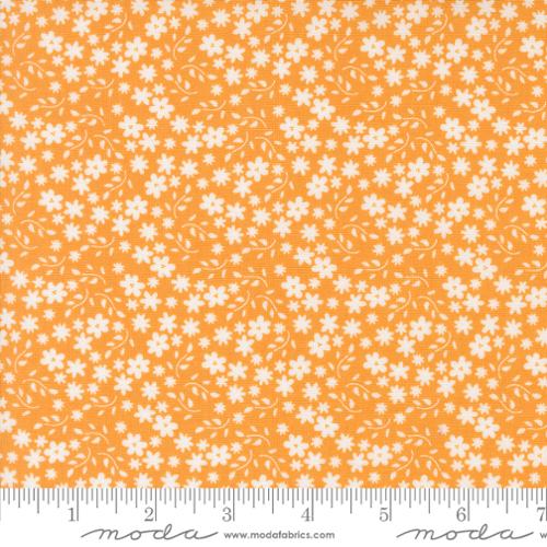 Moda - Raspberry Summer - Apricot