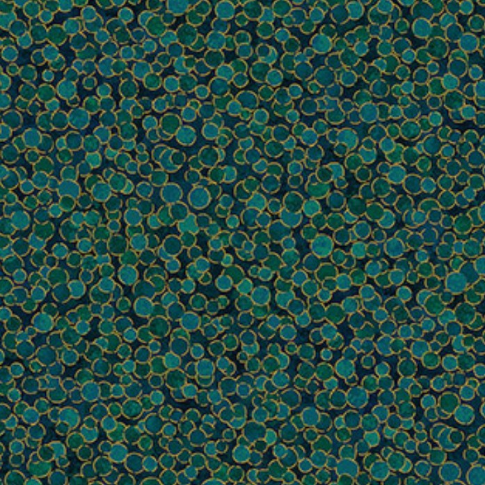 Northcott Shimmer Basics Peacock 27895M-78 quilting cotton