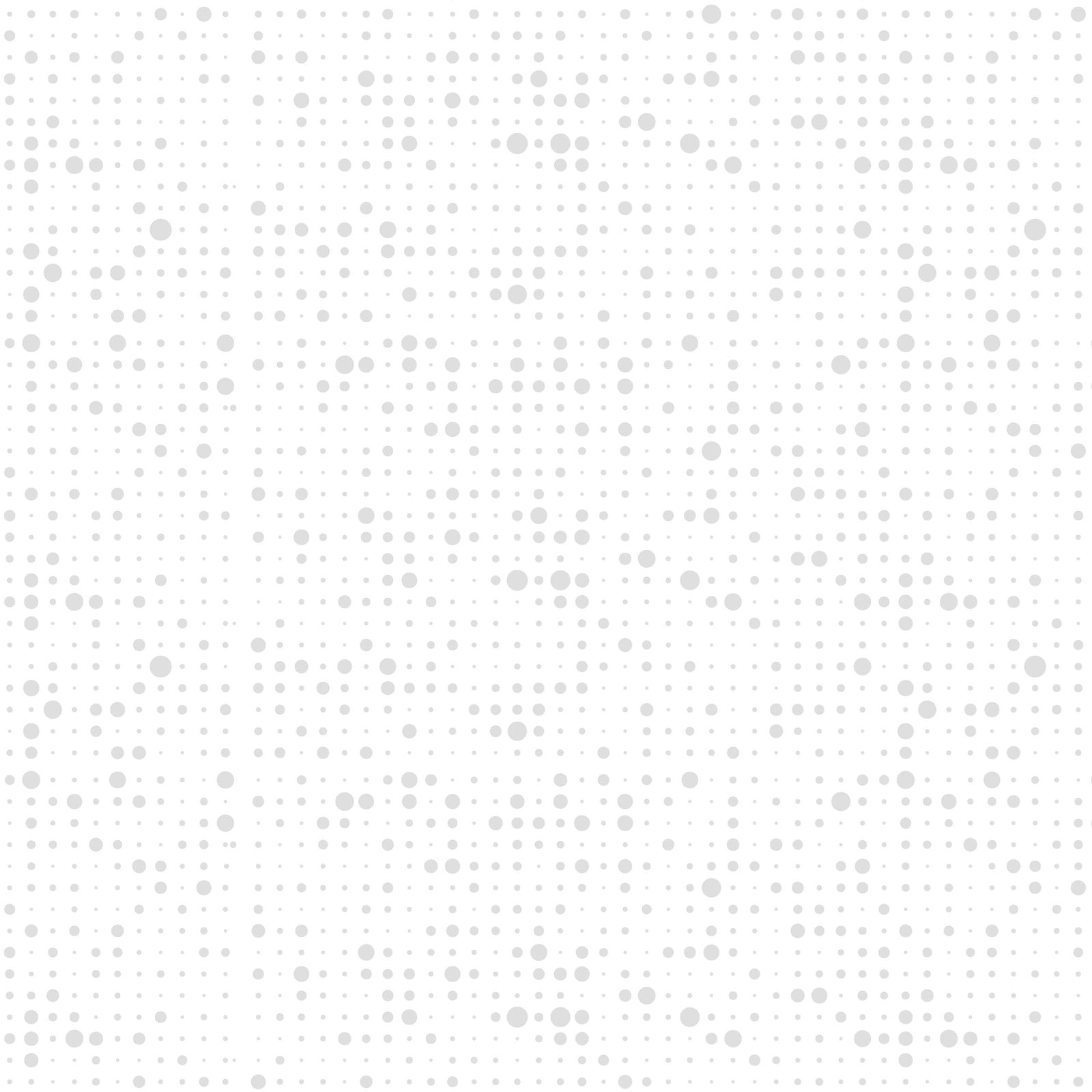 Blank Morning Mist IX 4336-01W White on White quilting fabric