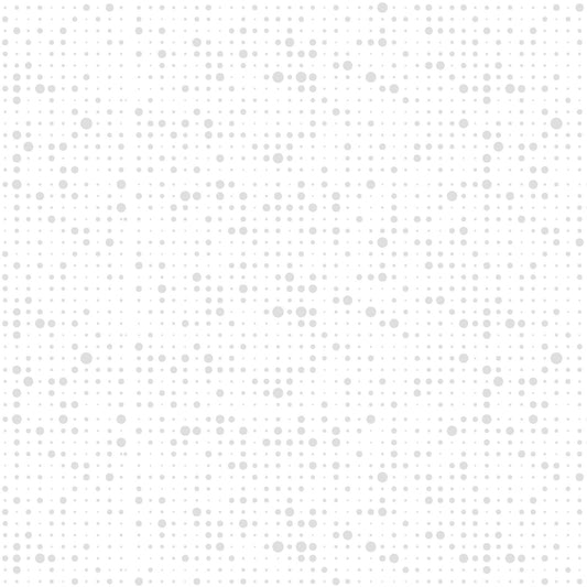 Blank Morning Mist IX 4336-01W White on White quilting fabric
