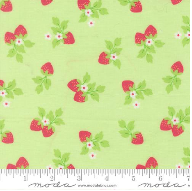 Moda Fruit Salad Corey Yoder 29243-20 melon quilting cotton