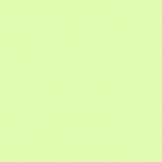 Spin Basic, Pistachio
