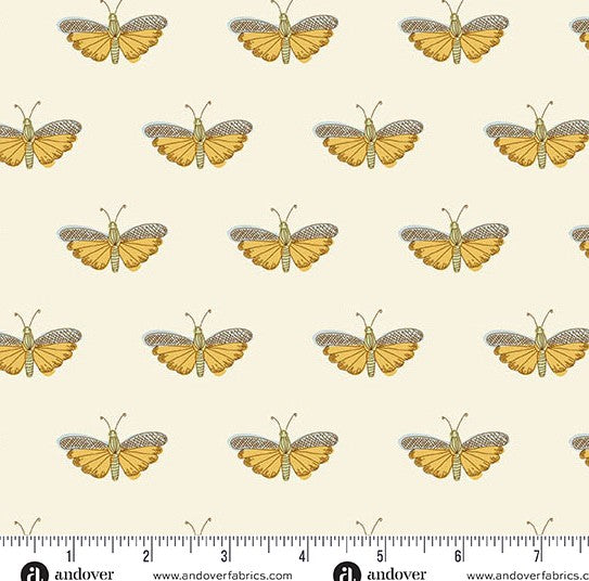 andover White Chrysalis 1626L Flourish by Alexandra Bordallo