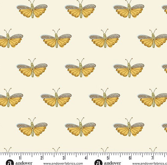 andover White Chrysalis 1626L Flourish by Alexandra Bordallo