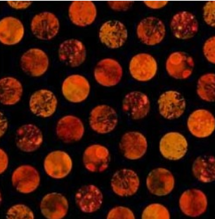Michael Miller - Boo Town - Glitter Dots - DCX12720-BLAC-D