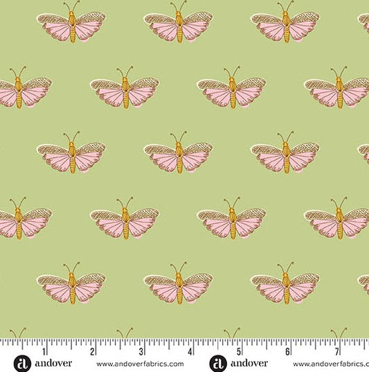 andover Green Chrysalis 1626G  Flourish by Alexandra Bordallo