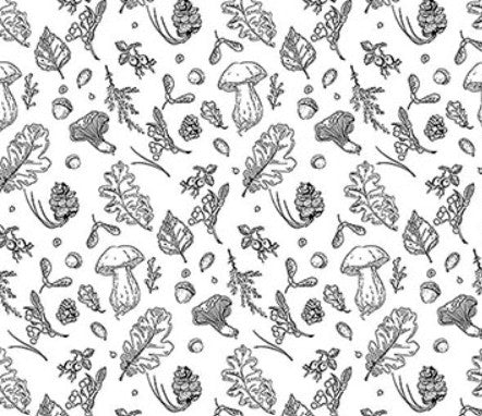 Northcott Nature's Sketchbook Forage 28531-1 quilting cotton fabric