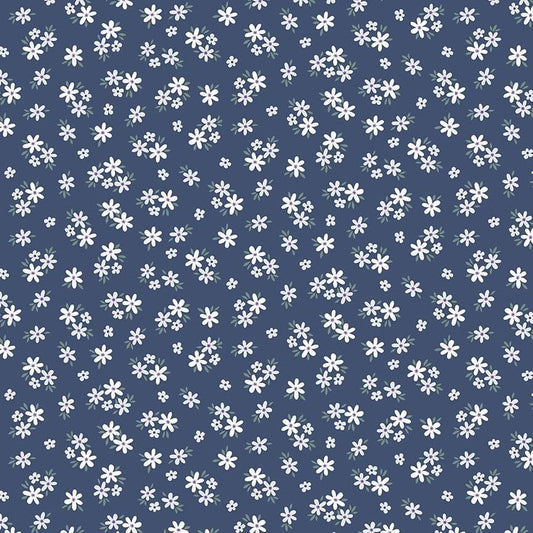 Dear Stella - My First Pick - Indigo D3591