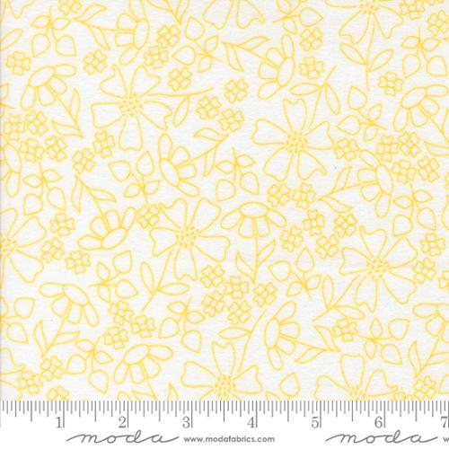 Sherbet Sunshine Flan Sunshine 29223