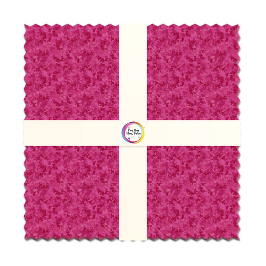 Pink Panther 10 inch Squares I ve Got Hue Babe precut