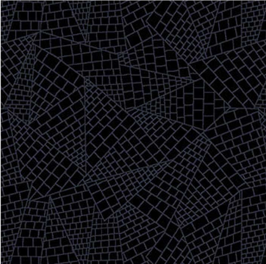 Dark Shadows Black Studio e quilting fabric